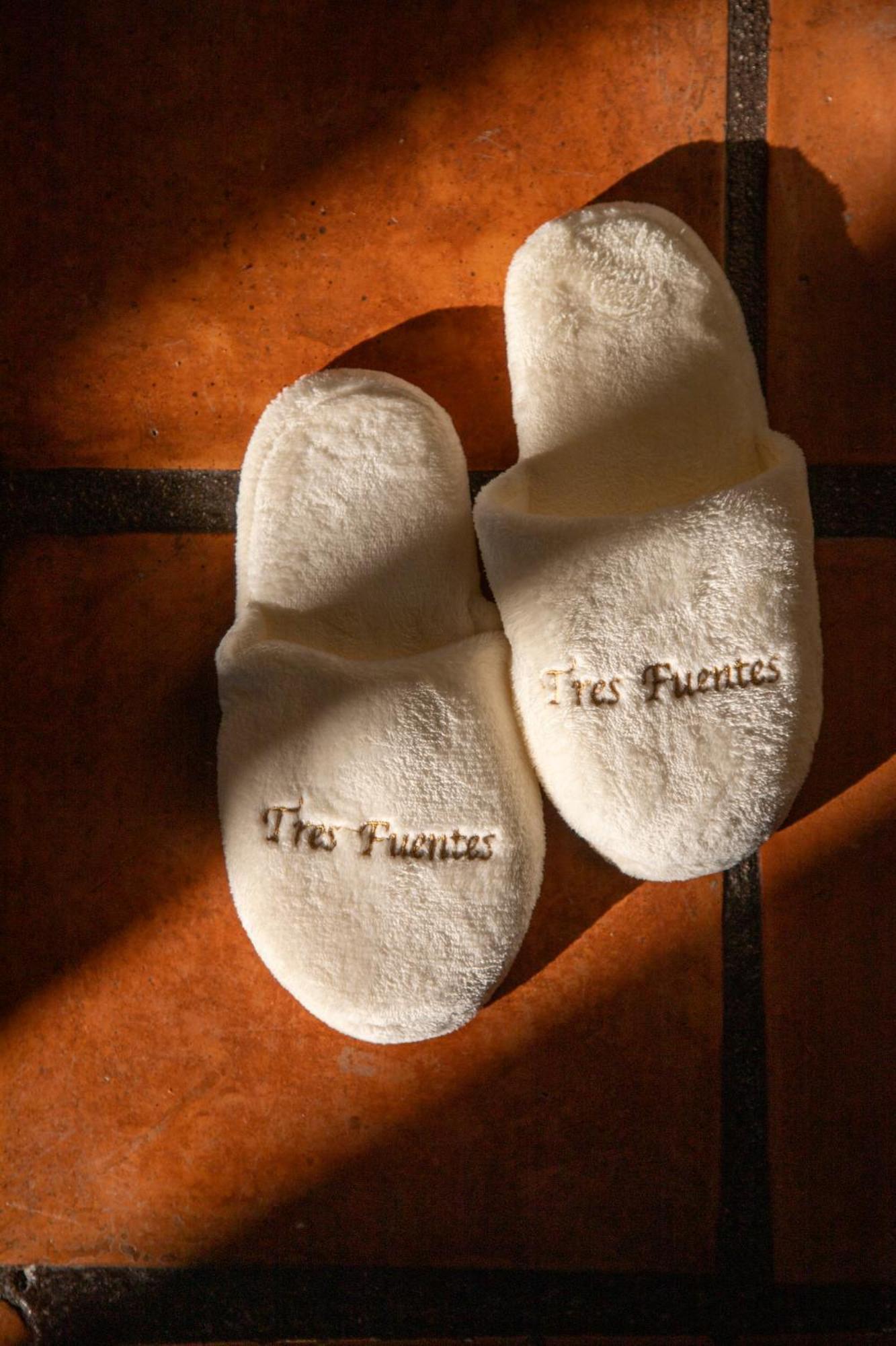 Tres Fuentes Dickinson Hotel Boutique San Miguel de Allende Esterno foto